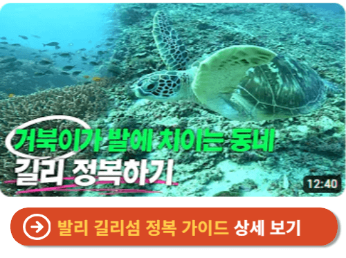 발리길리섬 정복 가이드