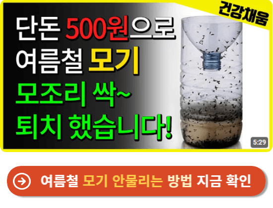 여름철 모기 안물리는 방법 지금 확인