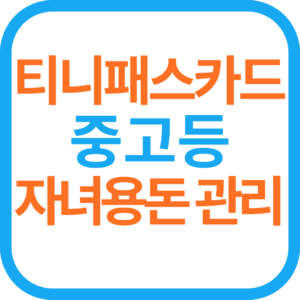 중고등학생 자녀 용돈 카드-티니 패스 카드