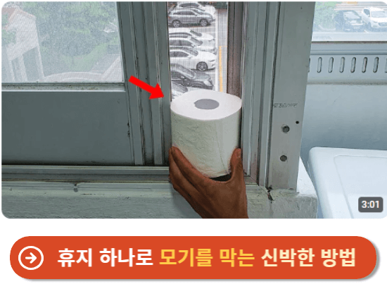 휴지 하나로 모기를 막는 신박한 방법