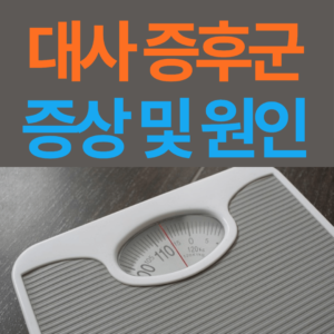 대사 증후군 증상과 원인