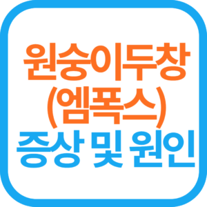 원숭이두창 증상 및 원인, 예방, 치료, 백신, 감염경로,발진