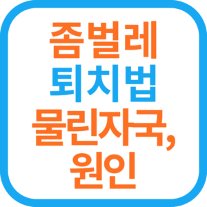 좀벌레 퇴치법, 물린 자국, 원인, 약 추천, 좀벌레 퇴치 트랩