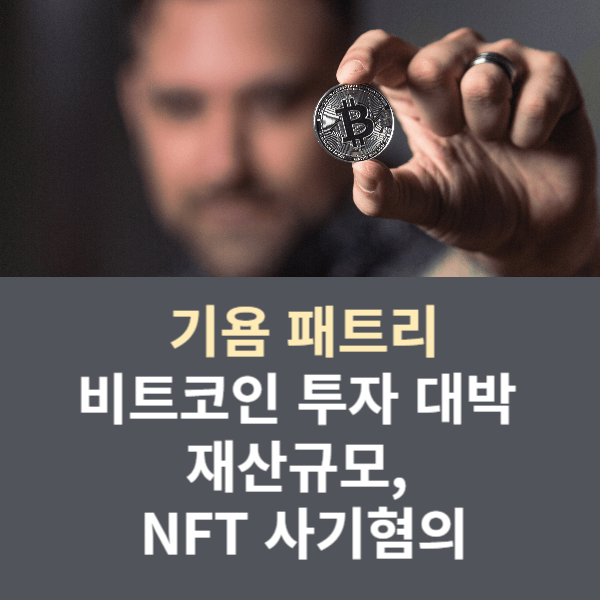 기욤 패트리 비트코인 투자, 기욤 패트리 재산규모, 기욤 패트리 NFT 사기혐의