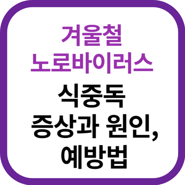 겨울철 노로바이러스 식중독 증상과 원인, 예방법