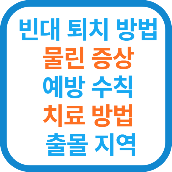 빈대 퇴치 방법, 물린 증상, 예방 수칙, 치료 방법, 출몰 지역