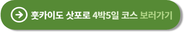 삿포로 4박5일 여행 영상 보기