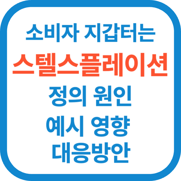 스텔스플레이션 정의 원인 예시 영향 대응방안