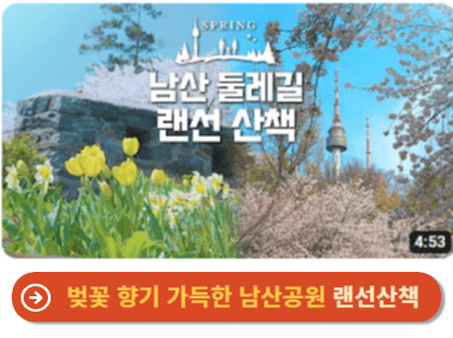 벚꽃 향기 가득한 남산공원 랜선산책