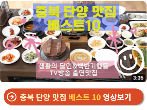 충북 단양 맛집 베스트 10 영상보기