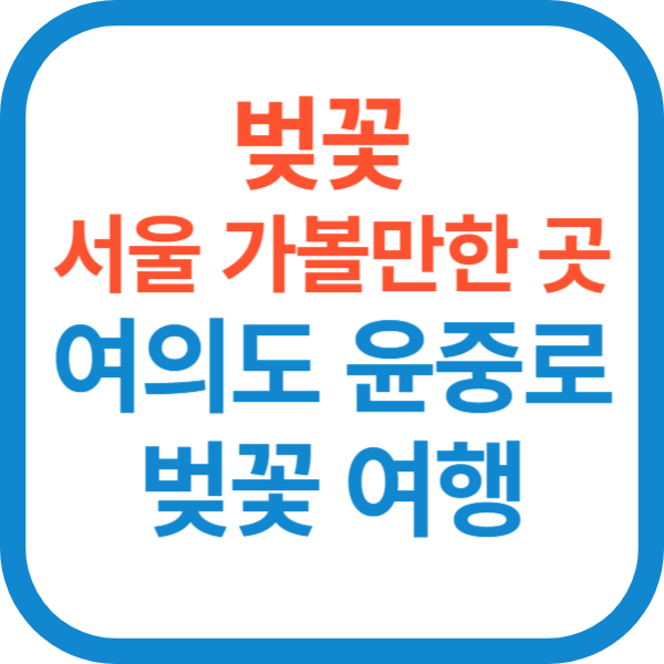 벚꽃 서울 가볼만한 곳-여의도 윤중로 벚꽃 여행