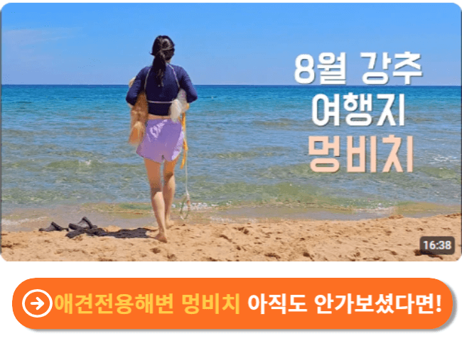 양양 멍비치 해수욕장