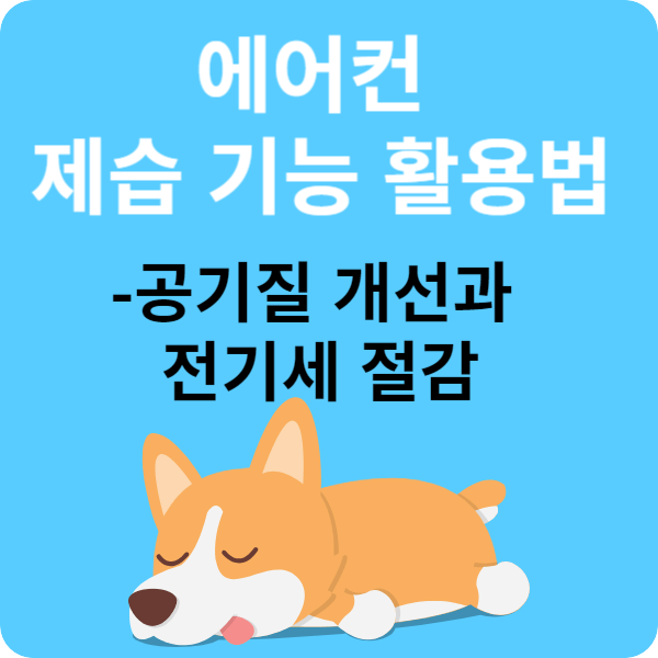 7 8월 에어컨 제습 기능 활용-공기질 개선과 전기세 절감