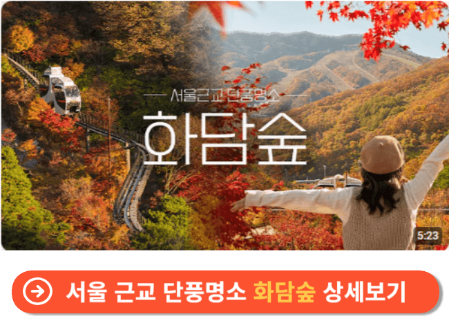 서울 근교 단풍명소 화담숲 상세보기