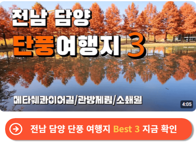 전남 담양 단풍 여행지 Best 3 지금 확인