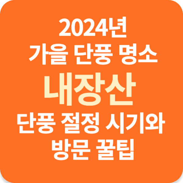 2024년 가을 단풍 명소 내장산 단풍 절정 시기와 방문 꿀팁