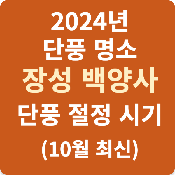 2024년 단풍 명소 장성 백양사 단풍 절정 시기 (10월 최신)