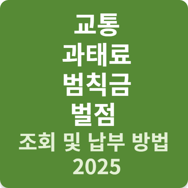 교통 과태료 범칙금 벌점 조회 및 납부 방법 2025