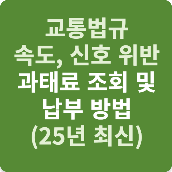 교통법규 속도, 신호 위반 과태료 조회 및 납부 방법 (25년 최신)