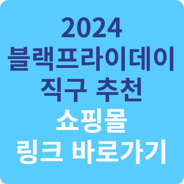 2024 블랙프라이데이 직구 추천 쇼핑몰 링크 바로가기