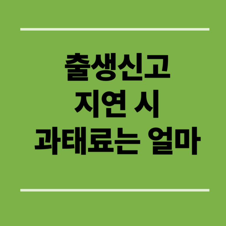 출생신고 지연 시 과태료는 얼마